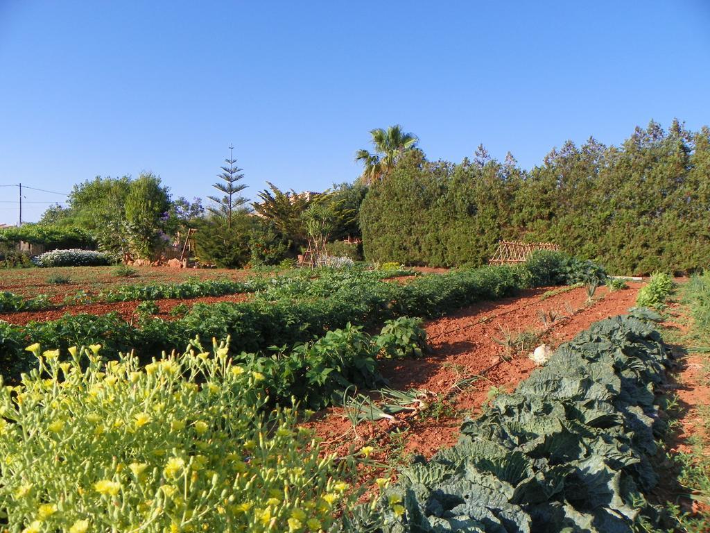 Agroturisme Can Bessol S'Horta Zewnętrze zdjęcie